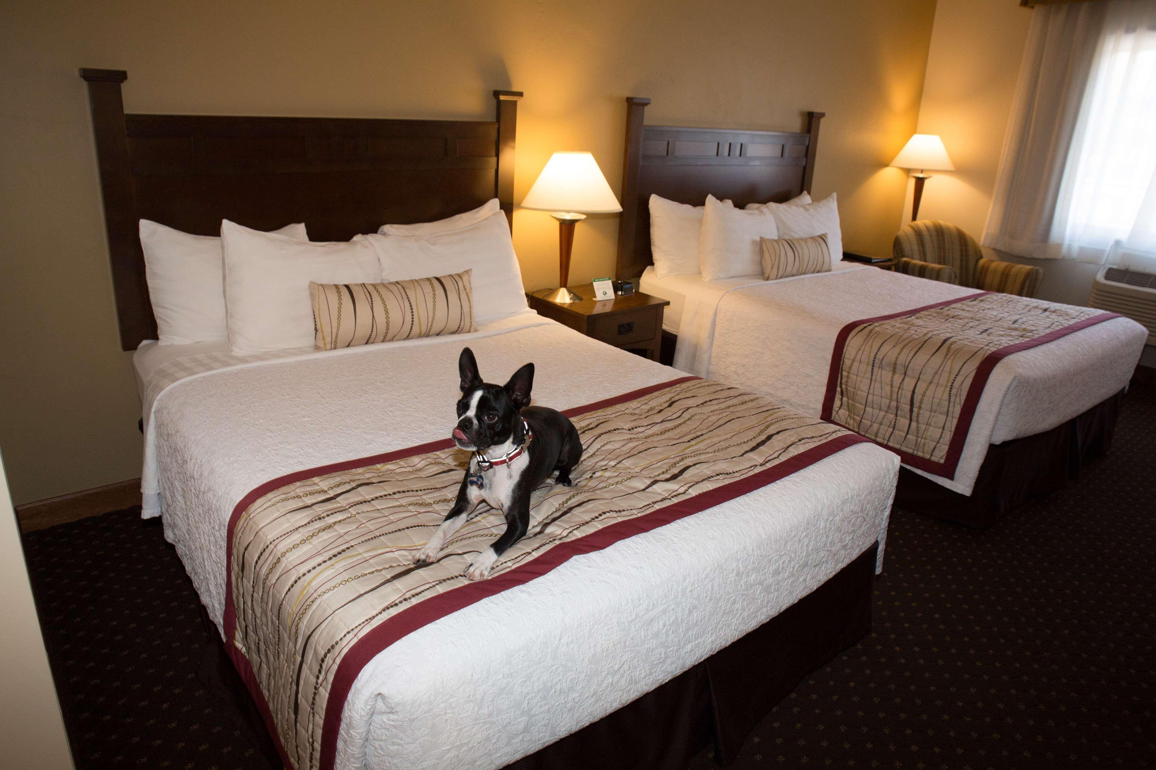 Best Western Desert Inn West Yellowstone Εξωτερικό φωτογραφία